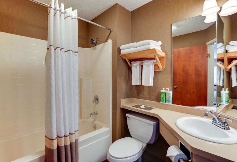 디럭스 룸, Stoney Creek Lnn Galena