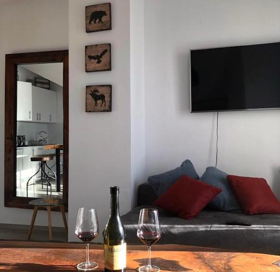 اتاق استاندارد, New Gudauri Suites By Gudauri Travel