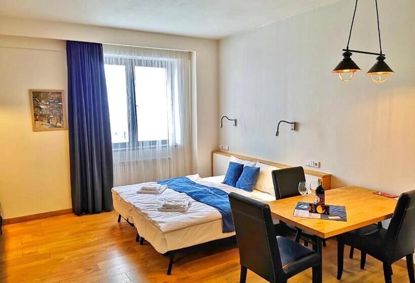 استودیوی استاندارد, New Gudauri Suites By Gudauri Travel