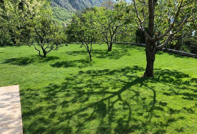 سوییت با چشم‌انداز دریا, Queen Teuta