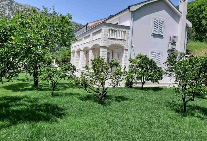 سوییت با چشم‌انداز دریا, Queen Teuta