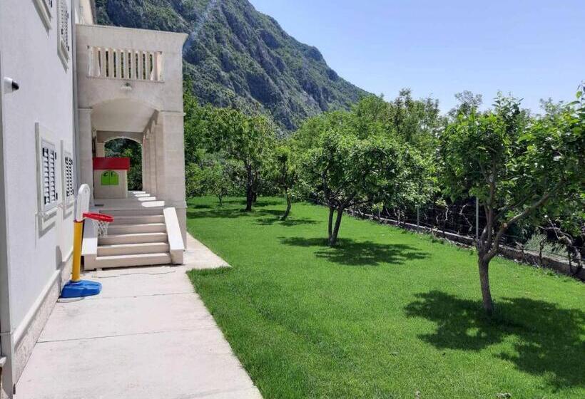 استودیوی استاندارد با چشم‌انداز دریا, Queen Teuta