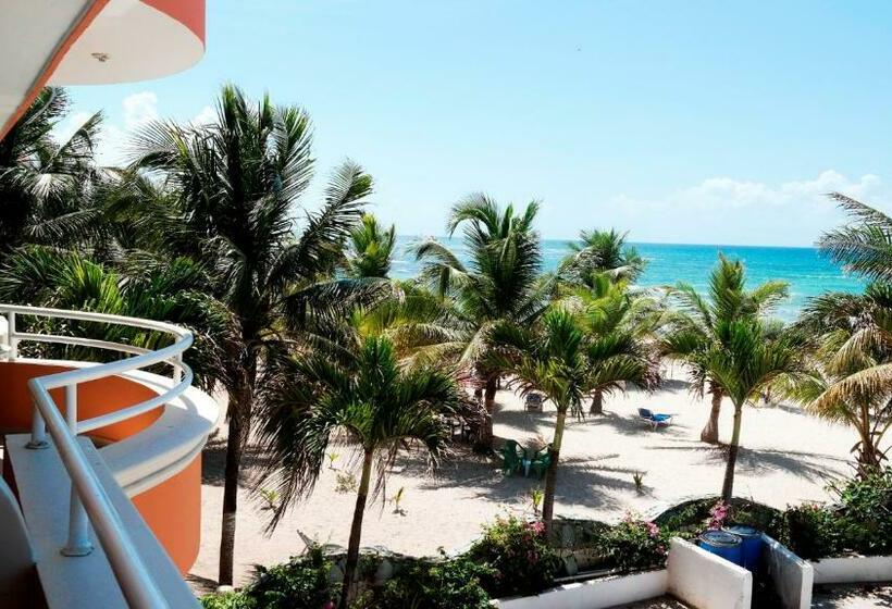 استودیوی استاندارد با چشم‌انداز دریا, Aparta Hotel Caribe Paraiso