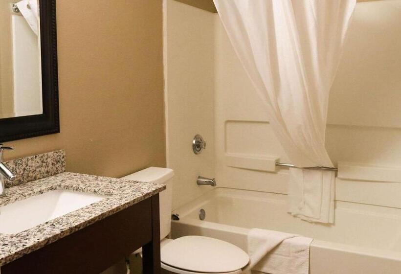 חדר סטנדרט, Econo Lodge Inn & Suites