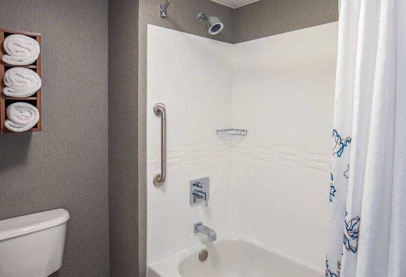 장애인을 위한 스위트, Residence Inn By Marriott Boston Woburn
