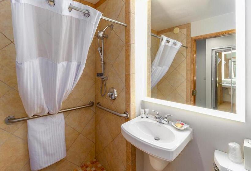 Номер Deluxe Адаптированный для Инвалидов, Red Lion Templin S Hotel On The River