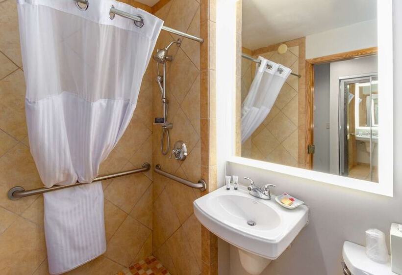 Номер Стандарт Адаптированный для Инвалидов, Red Lion Templin S Hotel On The River