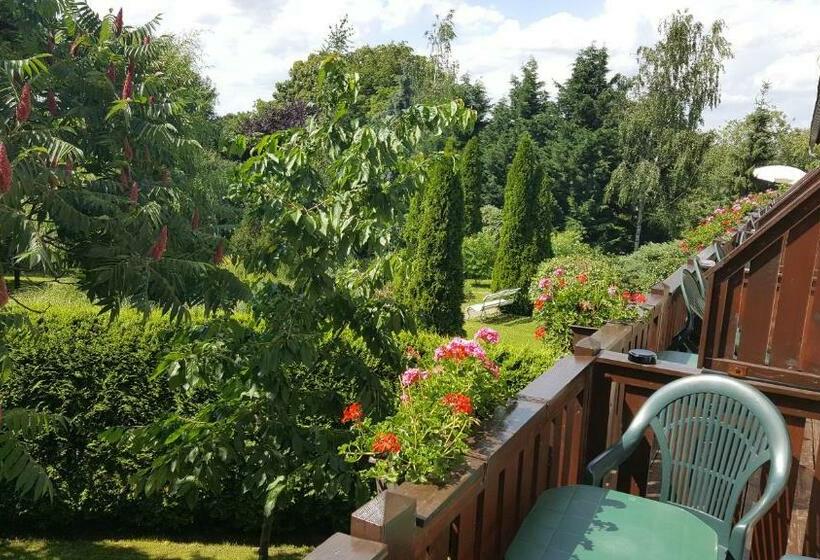 Номер Стандарт с Балконом, Jagerheim Lobsal