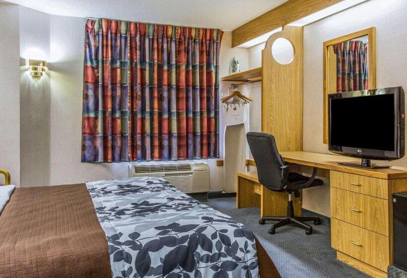 스탠다드 룸 킹사이즈 침대, Rodeway Inn Fremont