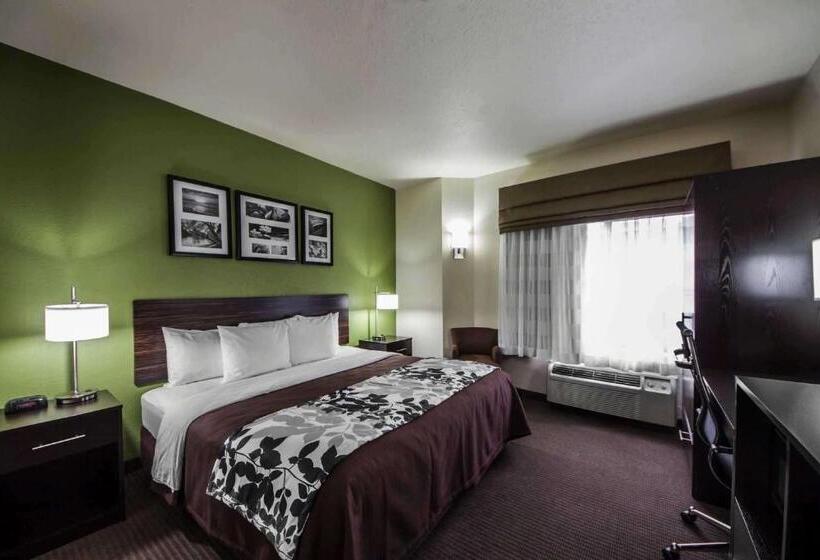 اتاق استاندارد با تخت بزرگ, Sleep Inn & Suites Tulsa Central I 44
