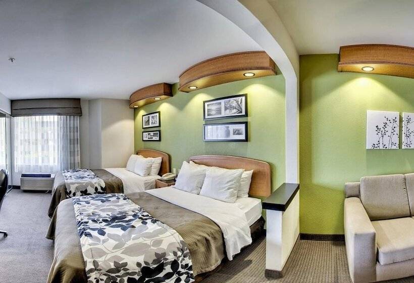 Люкс, Sleep Inn & Suites Emmitsburg