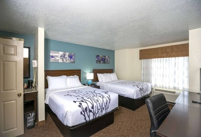 Номер Стандарт 2 Двуспальные Кровати, Sleep Inn Near Outlets