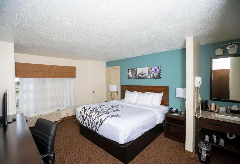 Стандартный Номер Кровать Кинг, Sleep Inn Near Outlets