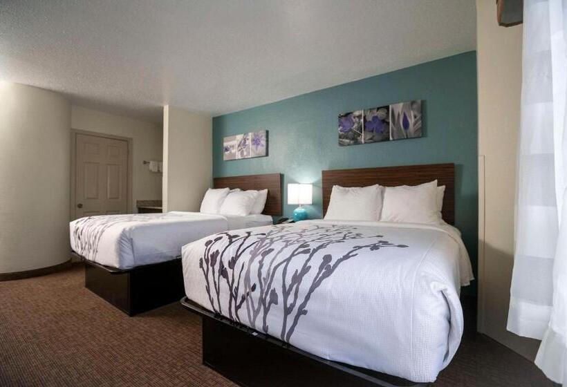 Номер Стандарт 2 Двуспальные Кровати, Sleep Inn Near Outlets