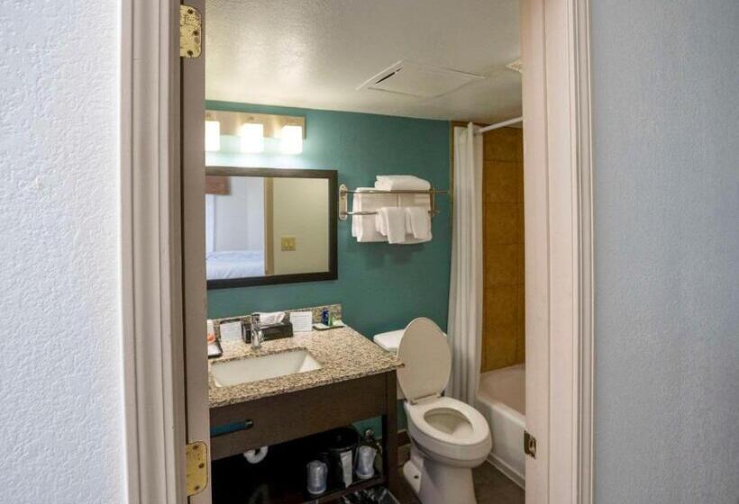 Номер Стандарт, Sleep Inn Near Outlets