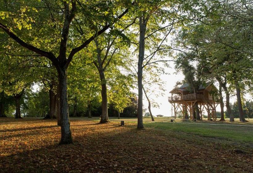کلبه ییلاقی سوپریور یک خوابه, Château Des Fousseries