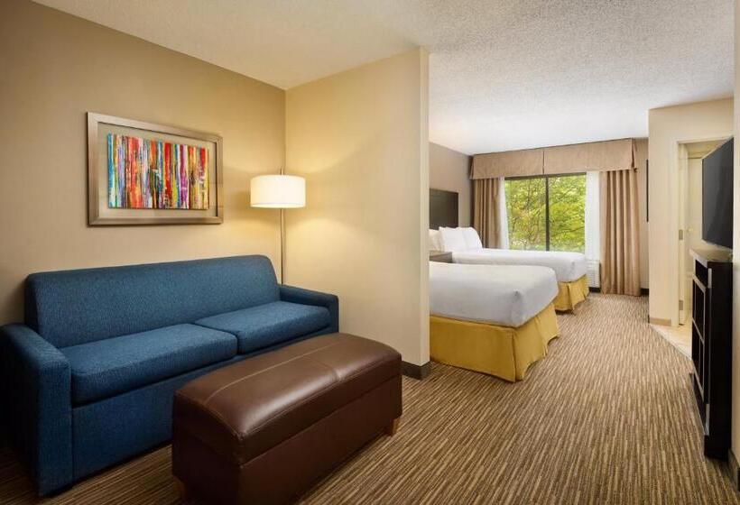 标准间, Holiday Inn Express & Suites Alpharetta, An Ihg