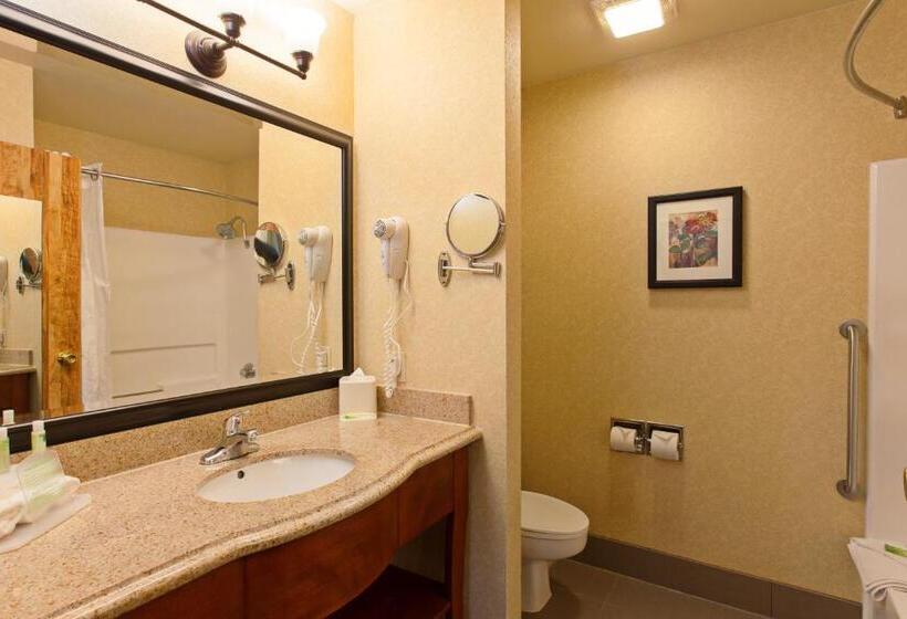 스탠다드 룸 더블 침대 2개, Holiday Inn Express Temecula, An Ihg