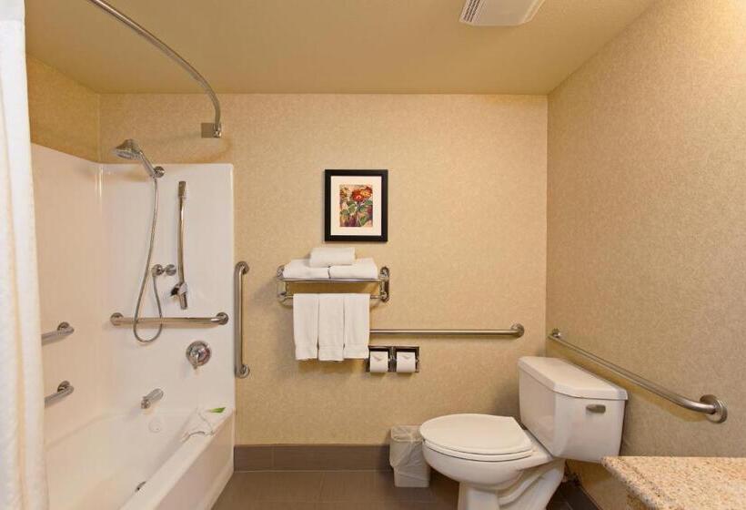 스탠다드 룸 킹사이즈 침대, Holiday Inn Express Temecula, An Ihg