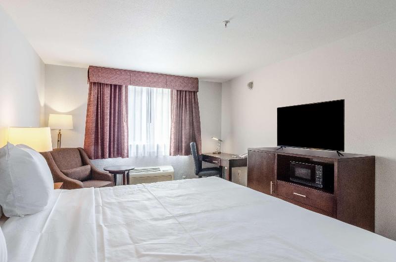 스탠다드 룸 킹사이즈 침대, Red Lion Inn & Suites Des Moines