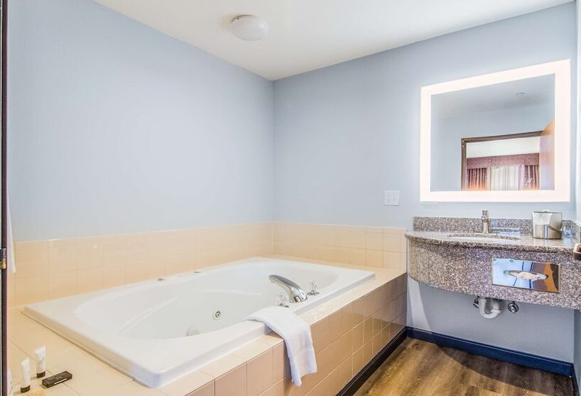스위트 킹사이즈 침대, Red Lion Inn & Suites Des Moines