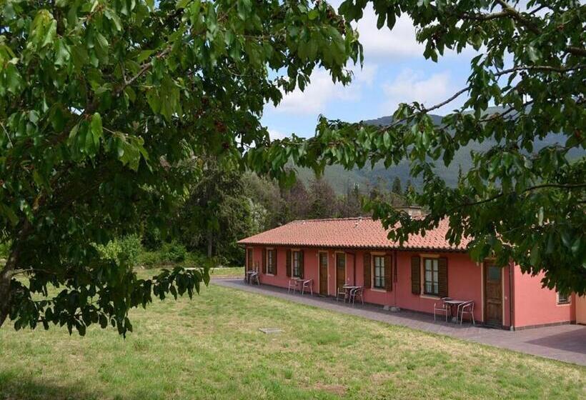 اتاق اکونومی, Villa Rinascimento