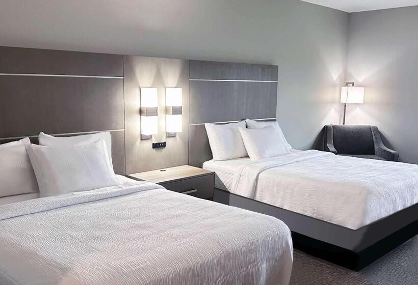 장애인을 위한 퀸사이즈 스탠다드 룸, La Quinta Inn & Suites By Wyndham Jackson Cape Girardeau