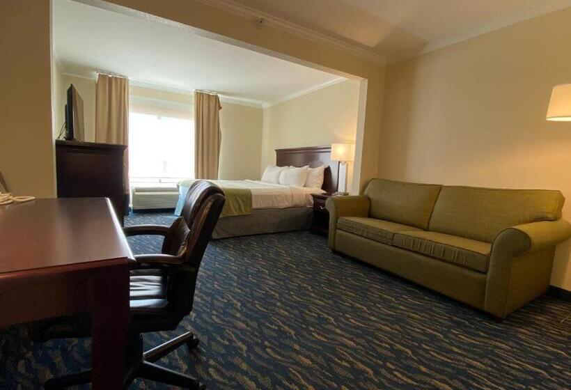 Standard Room King Size Bed, Comfort Inn & Suites New Orleans Airport North