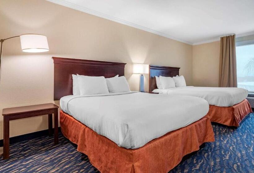 Standard Room, Comfort Inn & Suites New Orleans Airport North