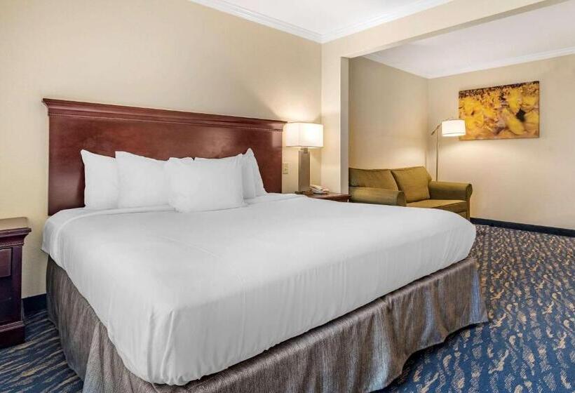 Suite King Bed, Comfort Inn & Suites New Orleans Airport North