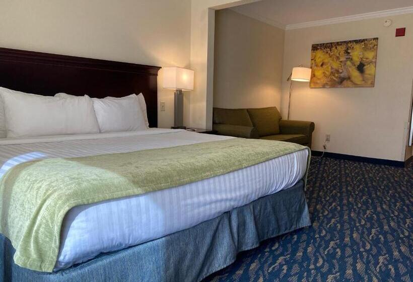 Standard Room King Bed Adapted for people with reduced mobility, Comfort Inn & Suites New Orleans Airport North