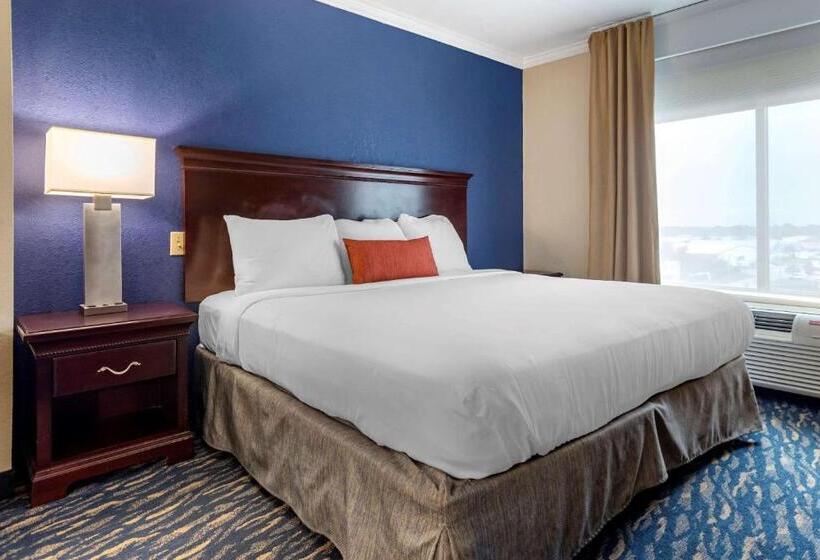 Standard Room King Bed Adapted for people with reduced mobility, Comfort Inn & Suites New Orleans Airport North