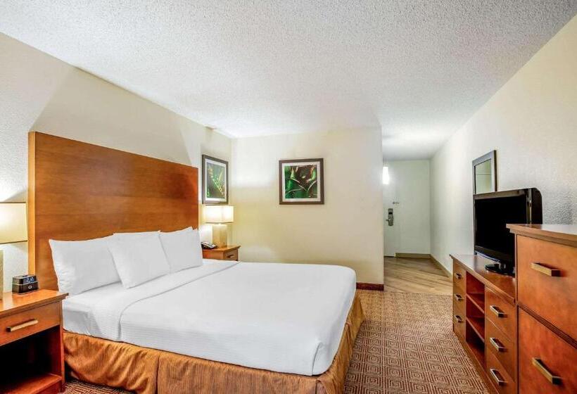 اتاق استاندارد با تخت بزرگ, La Quinta By Wyndham Danbury