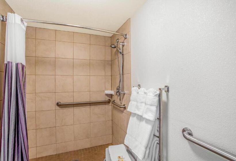 اتاق استاندارد با تخت بزرگ برای معلولان, La Quinta By Wyndham Danbury