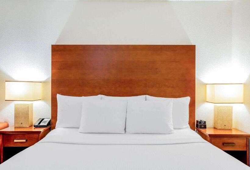 سوئیت با تخت بزرگ, La Quinta By Wyndham Danbury