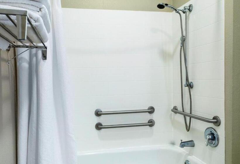 스탠다드 룸 킹사이즈 침대, Springhill Suites By Marriott Baton Rouge South