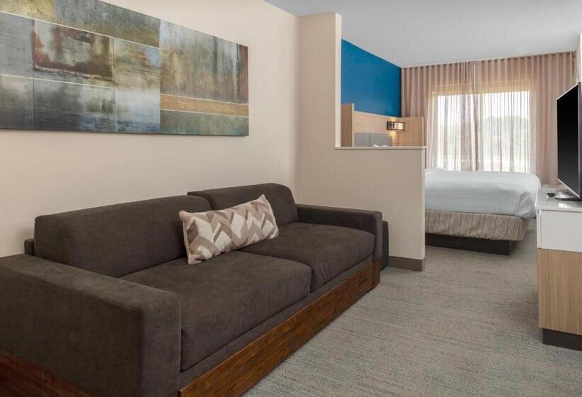 스탠다드 룸 킹사이즈 침대, Springhill Suites By Marriott Baton Rouge South