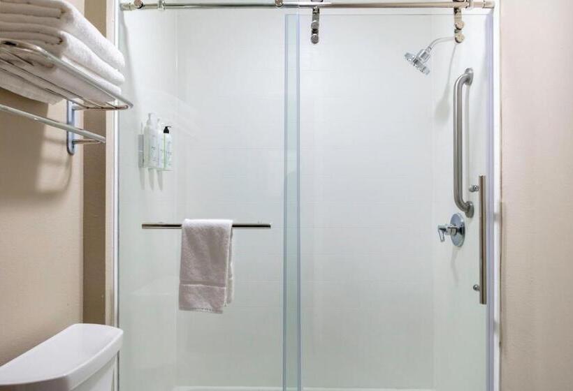 스탠다드 룸 더블 침대 2개, Springhill Suites By Marriott Baton Rouge South