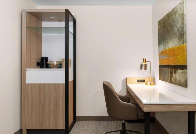 장애인을 위한 스위트, Springhill Suites By Marriott Baton Rouge South
