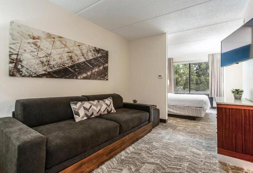 Studio Standard Lit King Size, Springhill Suites By Marriott Austin The Domain Area