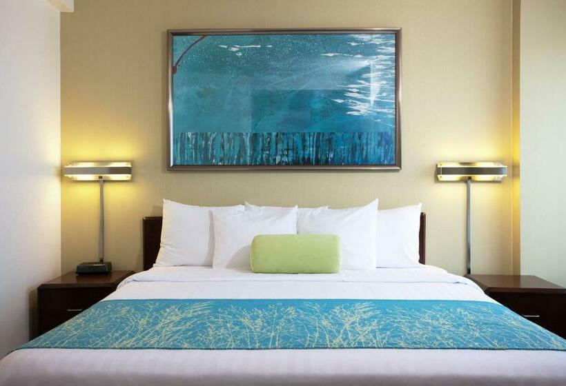 스위트 킹사이즈 침대, Springhill Suites Los Angeles Lax/manhattan Beach