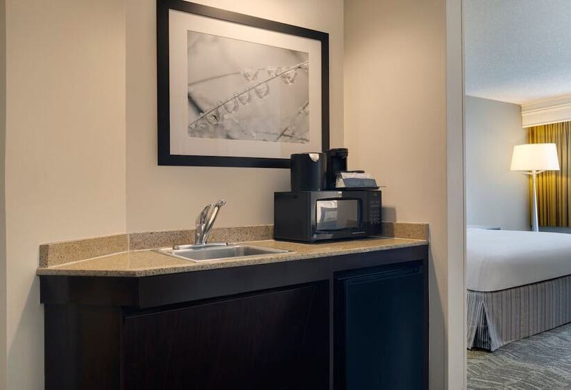 스위트, Springhill Suites By Marriott Newark International Airport