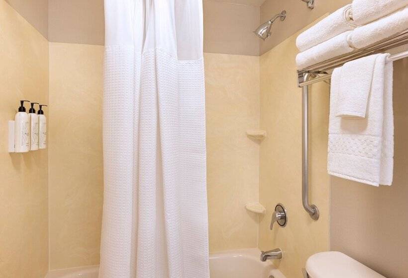 스위트, Springhill Suites By Marriott Newark International Airport