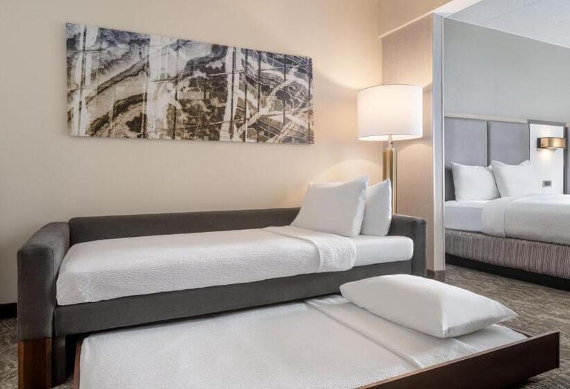 استودیو استاندارد با تخت کینگ, Springhill Suites West Mifflin