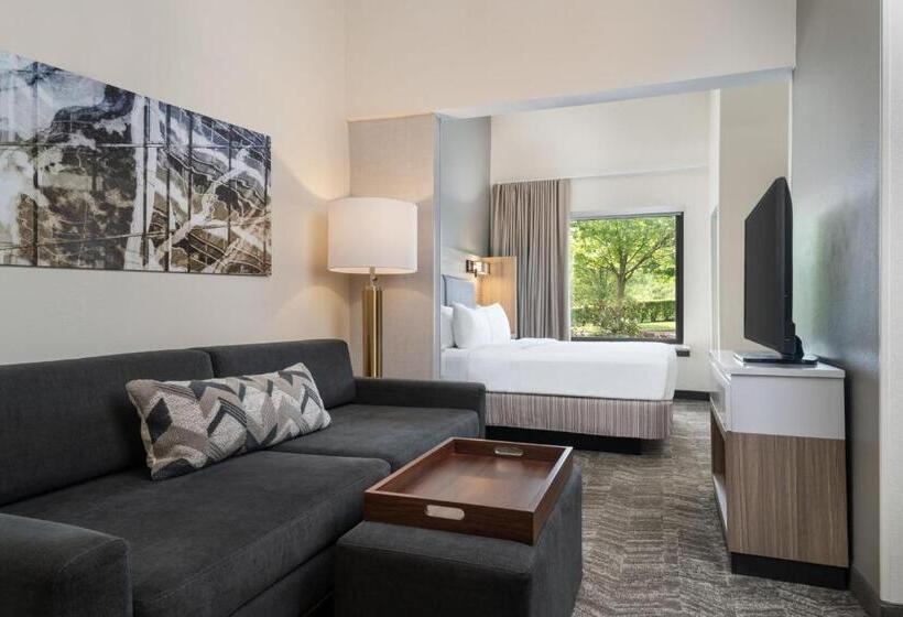 استودیو استاندارد با تخت کینگ, Springhill Suites West Mifflin