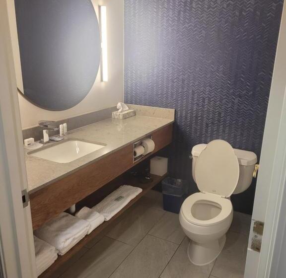 Номер Deluxe Адаптированный для Инвалидов, Fairfield By Marriott Inn & Suites Helena North