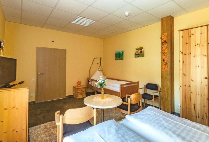 Номер Стандарт Трехместный, Pension Zum Reiterhof