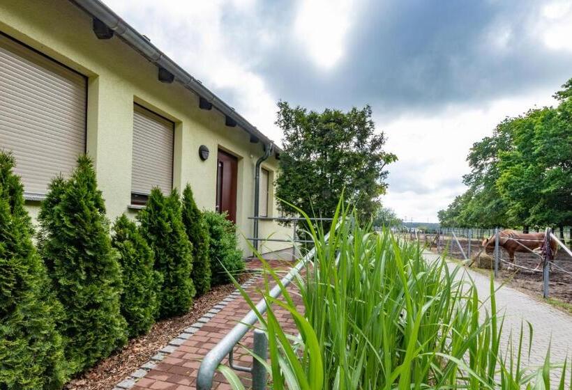 Апартаменты 1 Спальня, Pension Zum Reiterhof