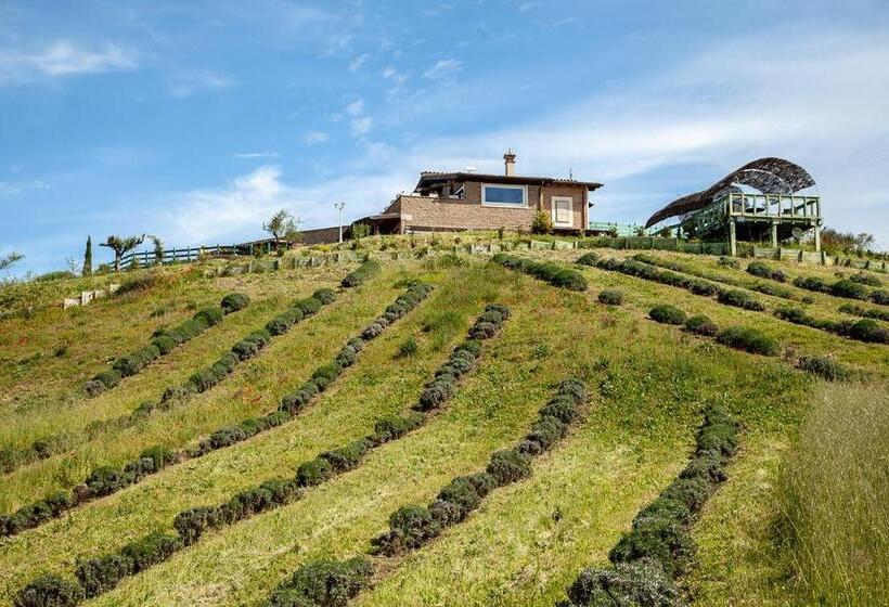 Вилла с 1 спальней и бассейном, Villa & Spasuitebo Roma