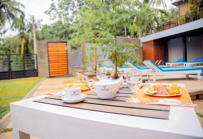 공동 객실, Hiriketiya Beach Hostels